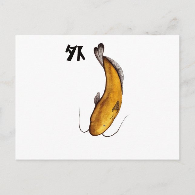 Cartão Postal bagre void (Frente)