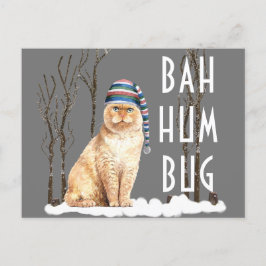 Cartão Postal Bah Humbug Engraçado Natal