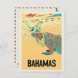 Cartão Postal Bahamas Carribean, Caribe típico Iguana Postca