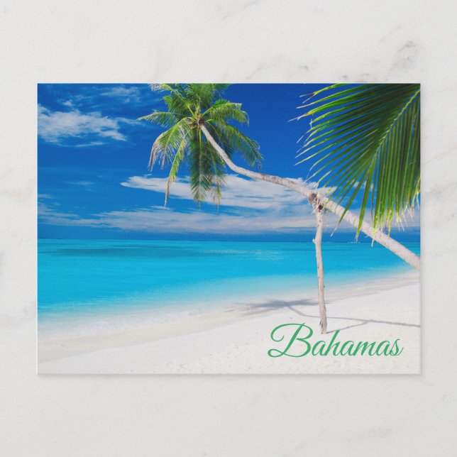 Cartão Postal Bahamas Exóticas Tropicais Palmas de Praia (Frente)