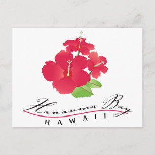 Cartão Postal Baía de Hanauma Havaí - Flor de Hibisco Vermelho