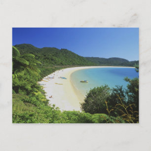 Cartão Postal Baía de Tonga, Abel Tasman NP, Ilha do Sul, Nova