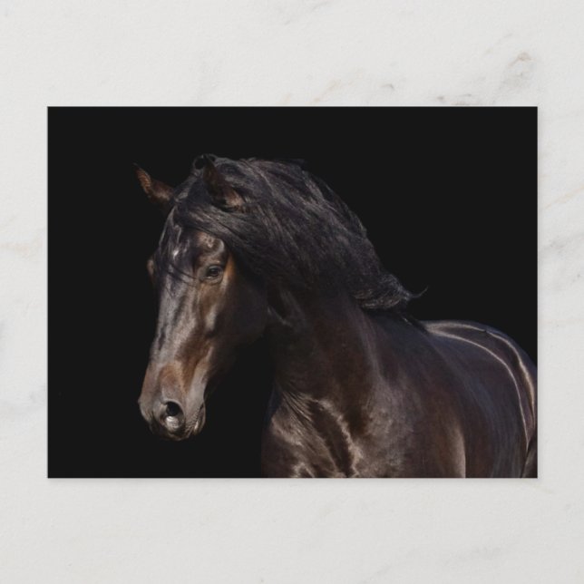 Cartão Postal Baía escura (Frente)