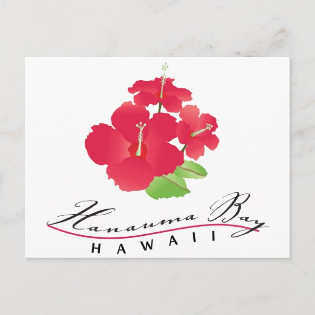Cartão Postal Baía Hanauma Havaí - Flor de Hibisco Vermelho (Frente)
