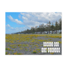 Baía Hawkes na Nova Zelândia