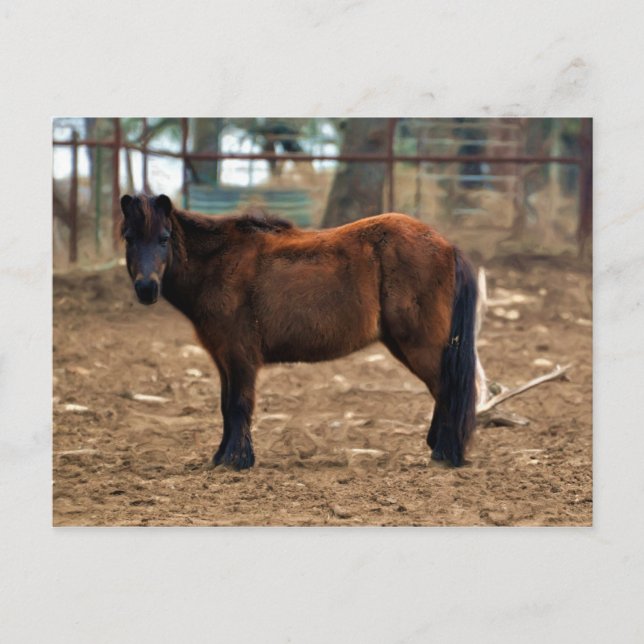 Cartão Postal Baixinho (Frente)