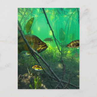 Cartão Postal Baixo