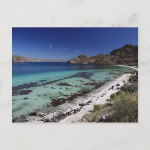 Cartão Postal Baja Conception Bay