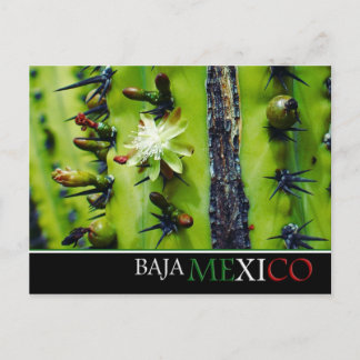 Cartão postal Baja Mexico