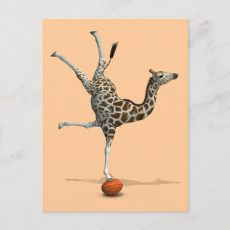 Cartão Postal Balancing Giraffe
