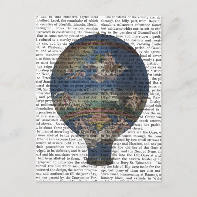 Cartão Postal Balão de Ar Quente Aerostático da Máquina (Frente)