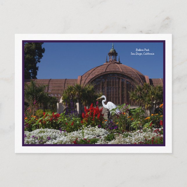 Cartão Postal Balboa Park Botanical Building Egret Flowers Frame (Frente)