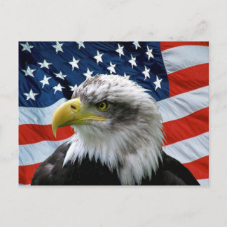 Cartão Postal Bald Eagle American Flag