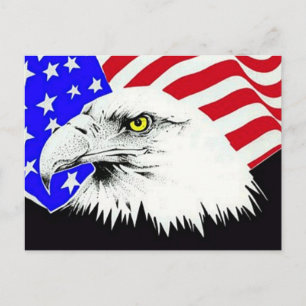 Cartão Postal Bald Eagle e American Flag Postcard