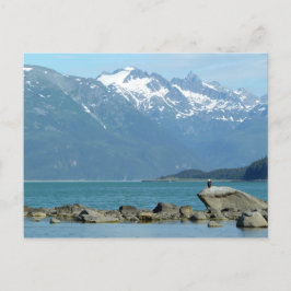 Cartão Postal Bald Eagle em Skagway Alaska