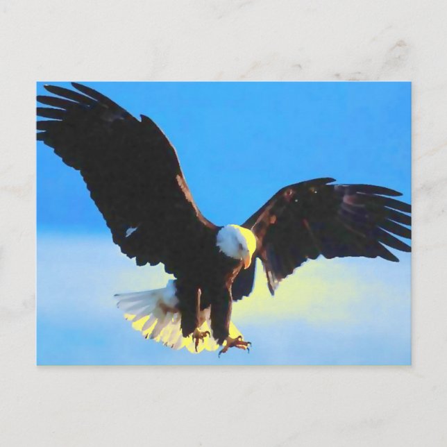 Cartão Postal Bald Eagle Landing Postcard (Frente)