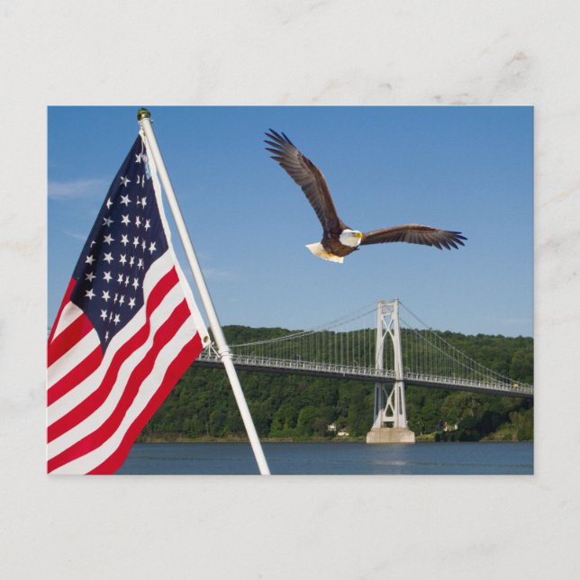 Cartão Postal Bald Eagle (Orgulho Americano) (Frente)