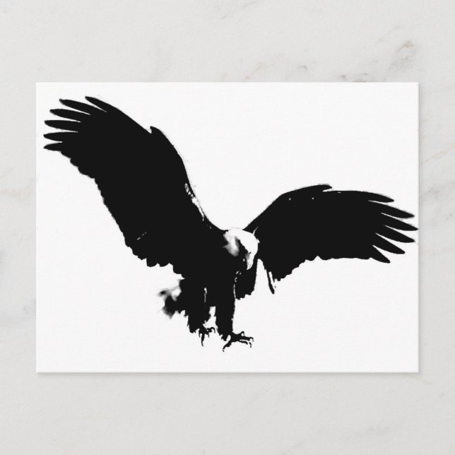Cartão Postal Bald Eagle Silhouette (Frente)