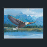 Cartão Postal Bald Eagle Soaring<br><div class="desc">Bald Eagle Soaring Artist: Tim OToole</div>