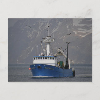 Cartão Postal Bald Eagles acolhendo o Starward Home