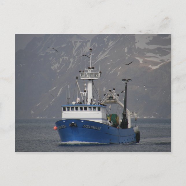 Cartão Postal Bald Eagles acolhendo o Starward Home (Frente)