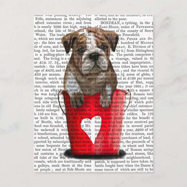 Cartão Postal Balde De Cachorro Do Amor Vermelho (Frente)