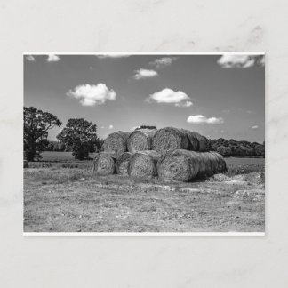 Cartão Postal Baldes de folha no interior do Norfolk