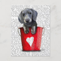 Baldes do Amor Dachshund Puppy