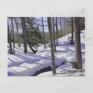 Cartão Postal Baldes NH Sap