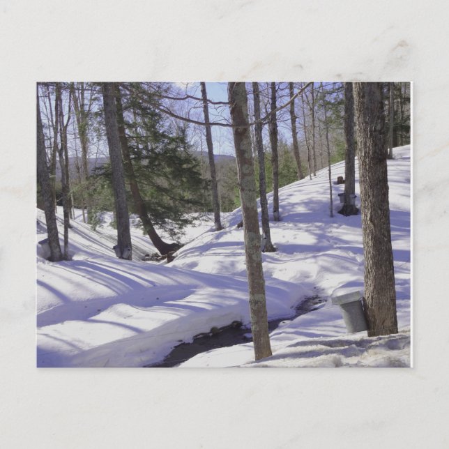 Cartão Postal Baldes NH Sap (Frente)