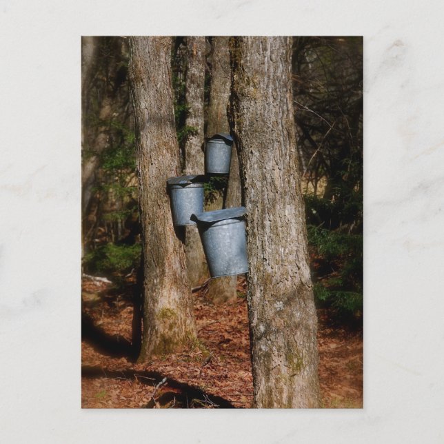 Cartão Postal Baldes Sap (Frente)