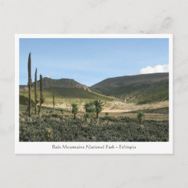 Cartão Postal Bale Mountain Etiópia