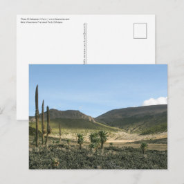 Cartão Postal Bale Mountain Etiópia