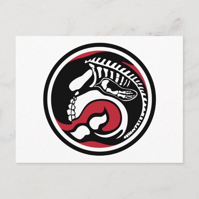 Cartão Postal baleia (Frente)