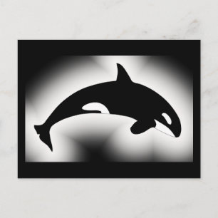 Cartão Postal Baleia Assassina Orca Preta Branca