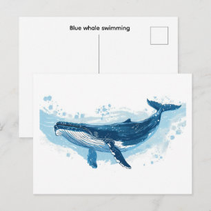 Cartão Postal Baleia azul mamífero nadando Pequeno