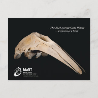 Cartão Postal Baleia de Cinzas de Arroyo de 2010 - Pegadas de um