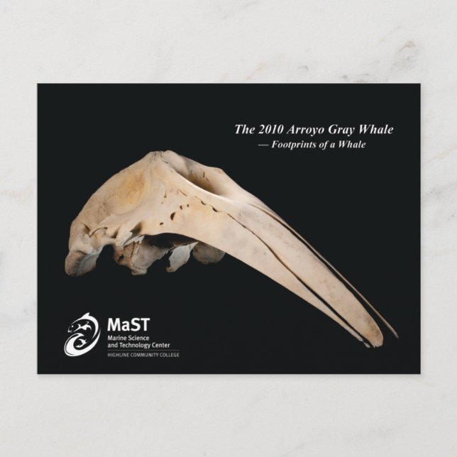 Cartão Postal Baleia de Cinzas de Arroyo de 2010 - Pegadas de um (Frente)