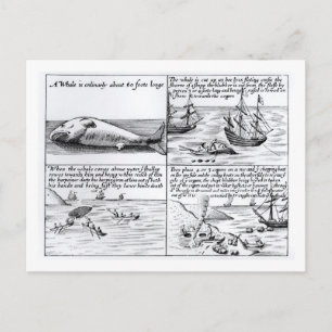 Cartão Postal Baleia em Spitzbergen em 1611 (gravura) (b/w ph