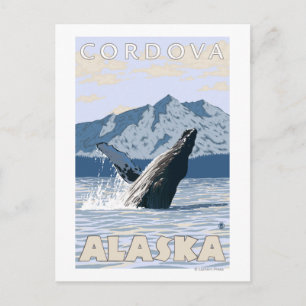 Cartão Postal Baleia-jubarte - Córdova, Alasca