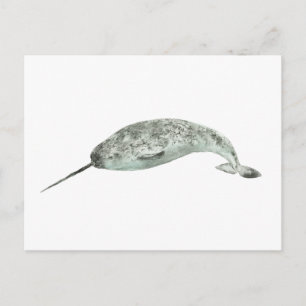 Cartão Postal Baleia narval aquarela