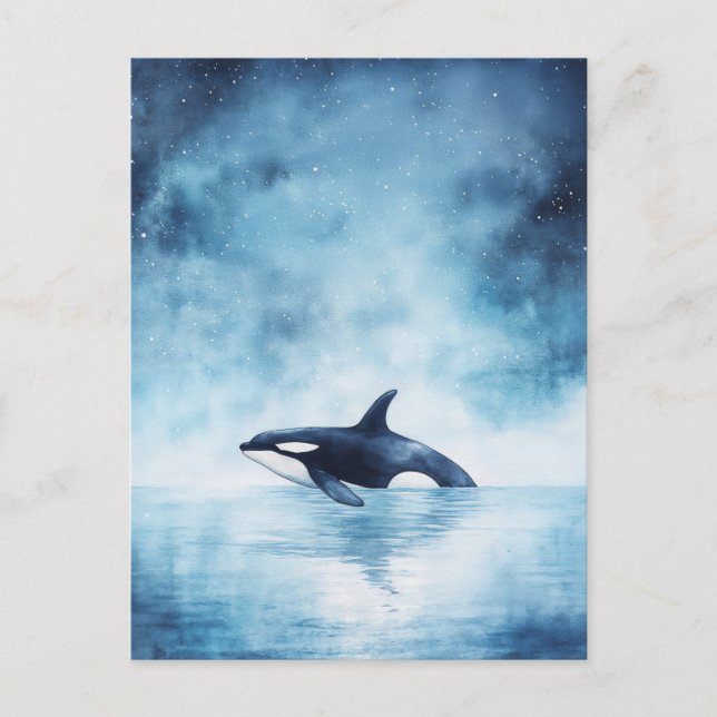 Cartão Postal Baleia Orca Estrelada Oceano da Meia-Noite (Frente)