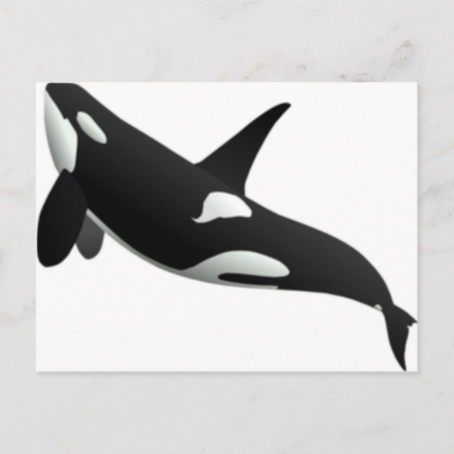 Cartão Postal Baleias (Frente)