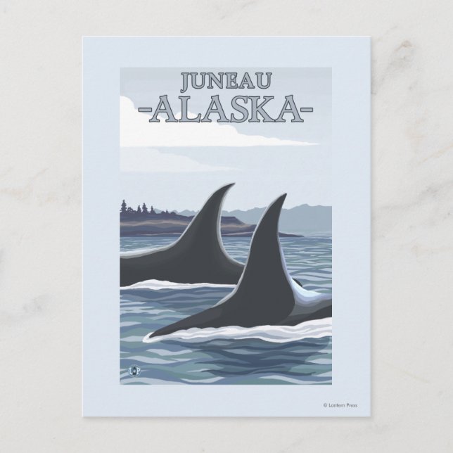 Cartão Postal Baleias #1 da orca - Juneau, Alaska (Frente)