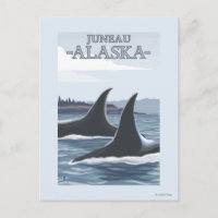 Baleias #1 da orca - Juneau, Alaska