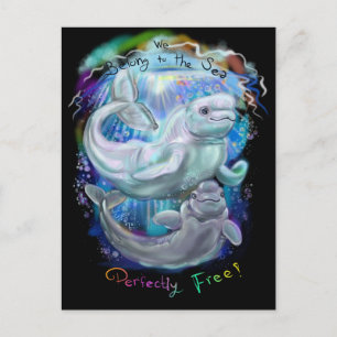 Cartão Postal Baleias Beluga