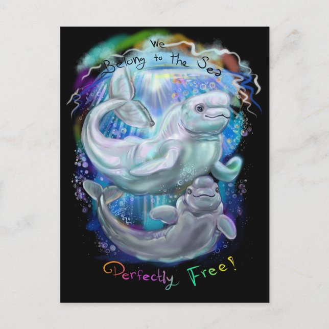 Cartão Postal Baleias Beluga (Frente)