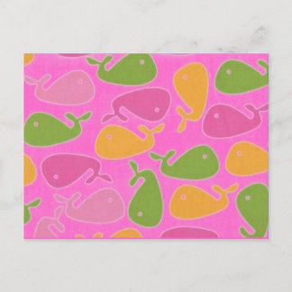 Cartão Postal baleias canarenses novas