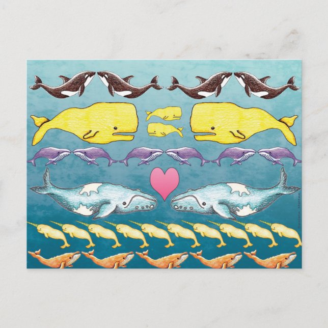 Cartão Postal Baleias do Mar (Frente)