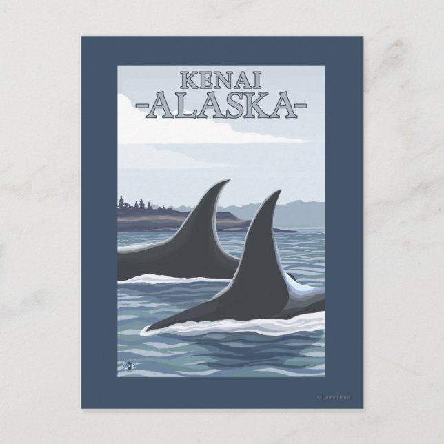 Cartão Postal Baleias Orca #1 - Kenai, Alasca (Frente)